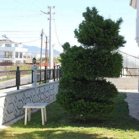Blue Heaven فيلة *